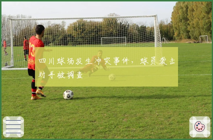 四川球场发生冲突事件，球员袭击对手被调查